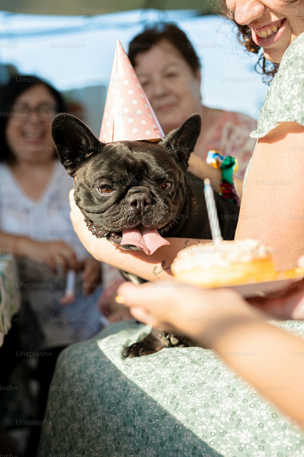 a woman holding a small dog wearing a party hat