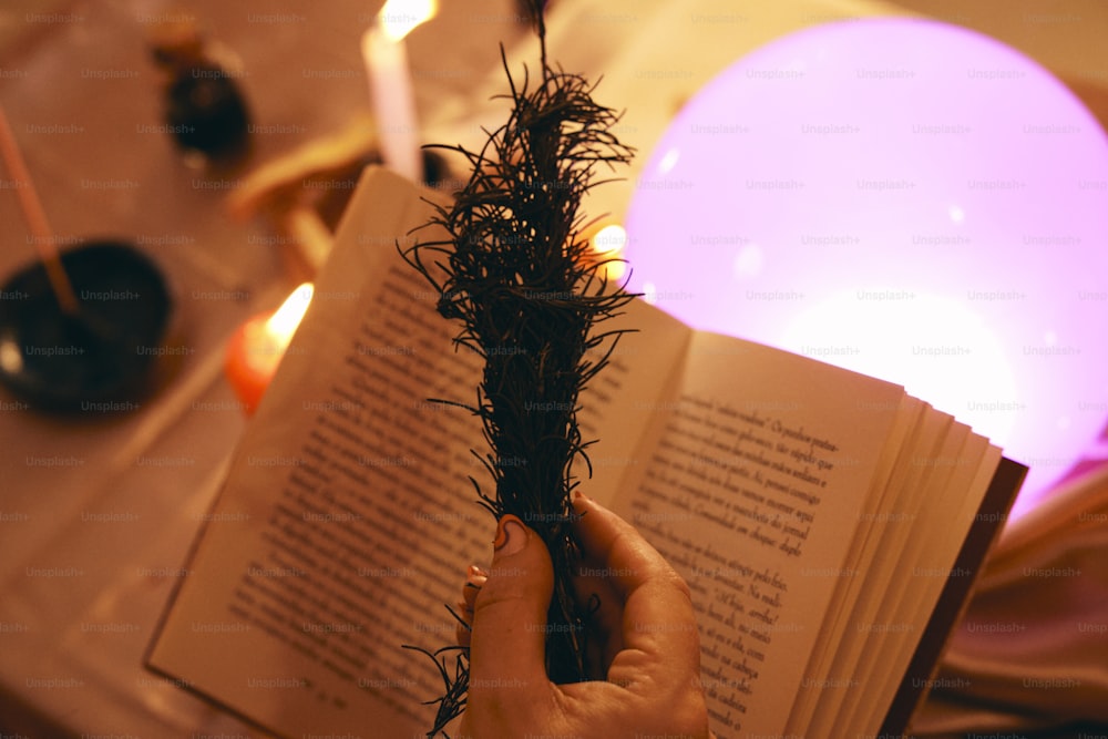 a person holding a book in their hand