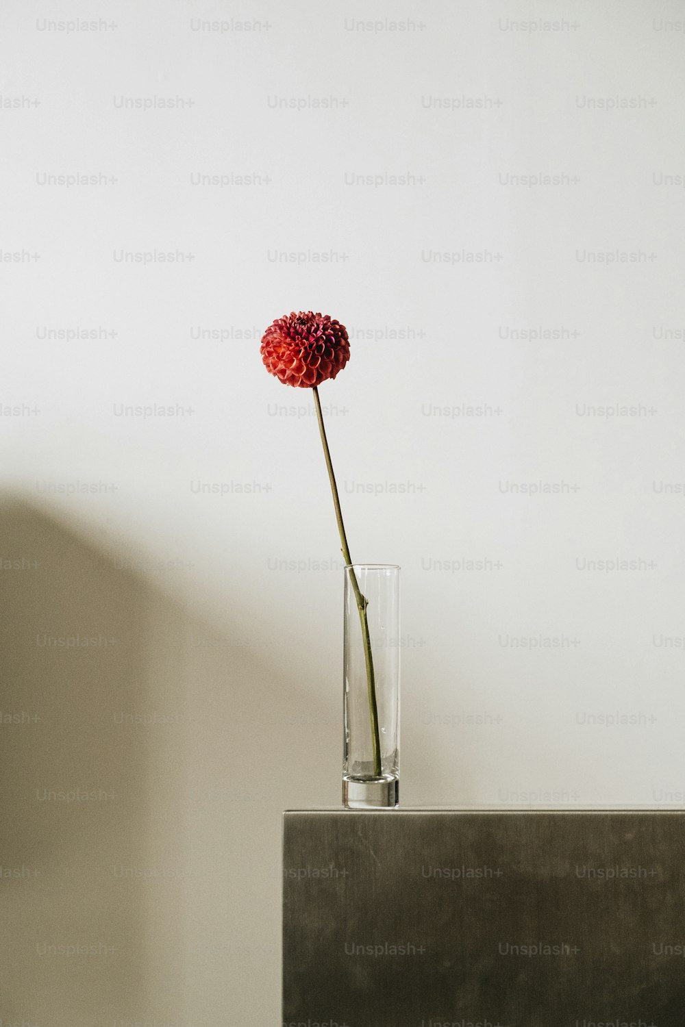 uma única flor vermelha em um vaso de vidro