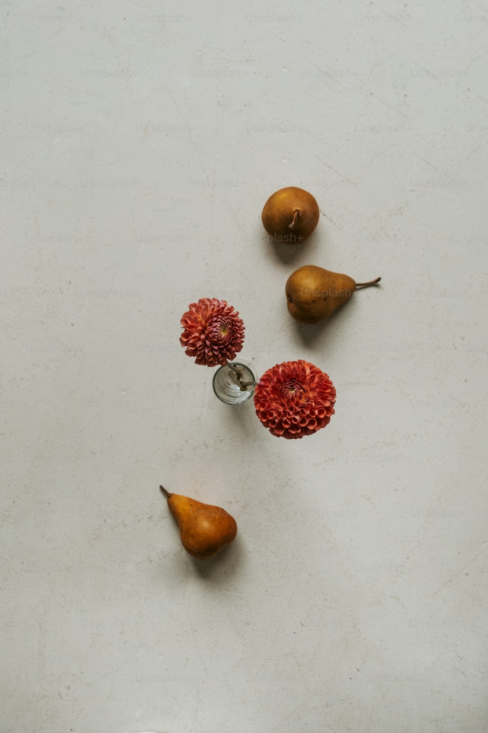 a group of fruit sitting on top of a white counter