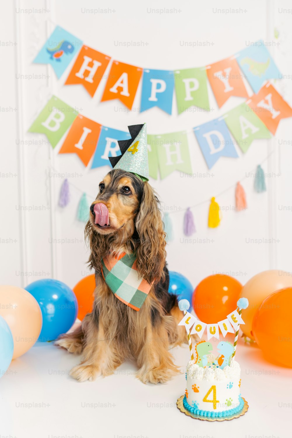 a dog wearing a birthday hat sitting in front of a birthday cake