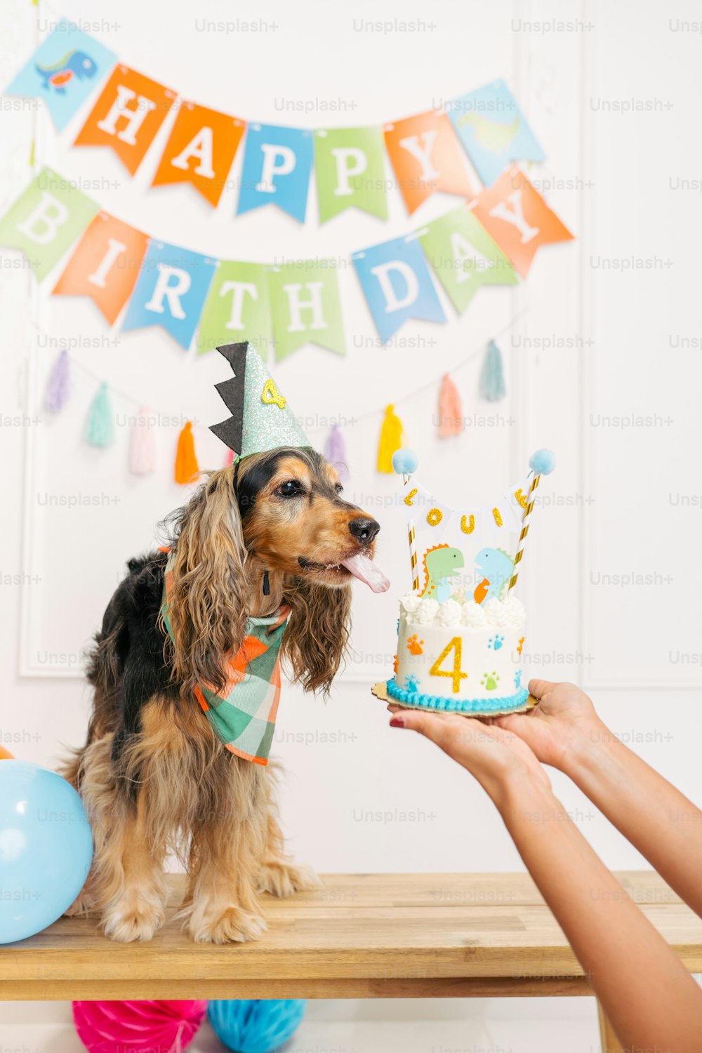 un perro con un sombrero de cumpleaños y sosteniendo un pastel de cumpleaños