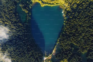 an aerial view of a lake surrounded by trees