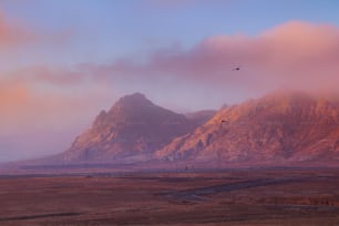 una gran montaña con un pájaro volando sobre ella