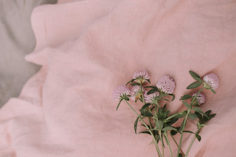 Drei Blumen liegen auf einem rosafarbenen Laken