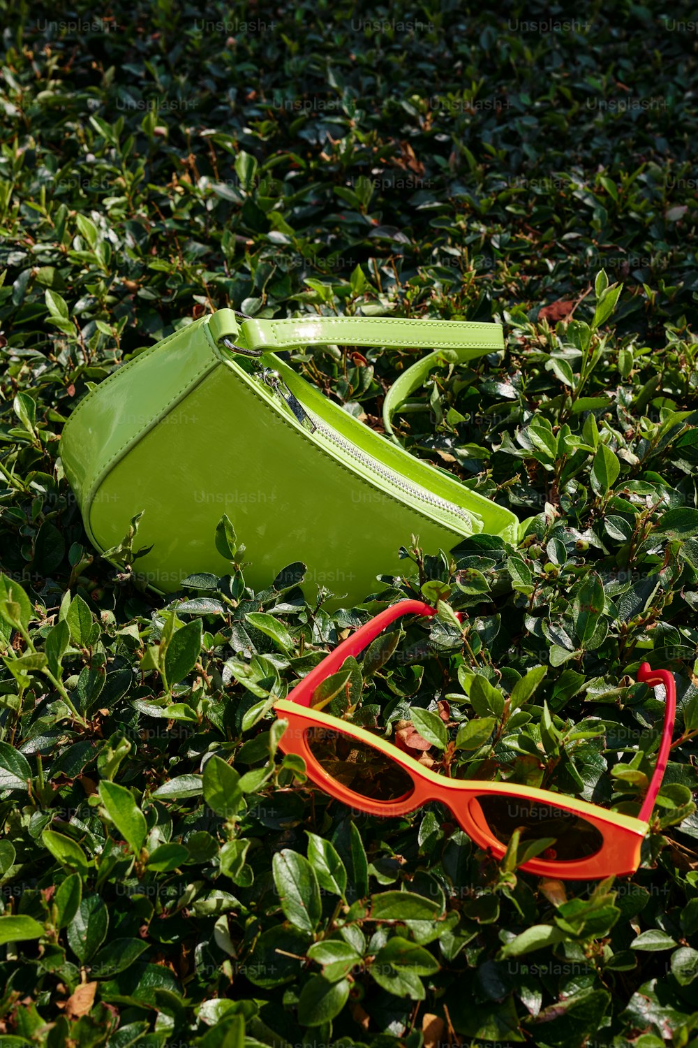 un paio di occhiali da sole e una custodia verde posata nell'erba