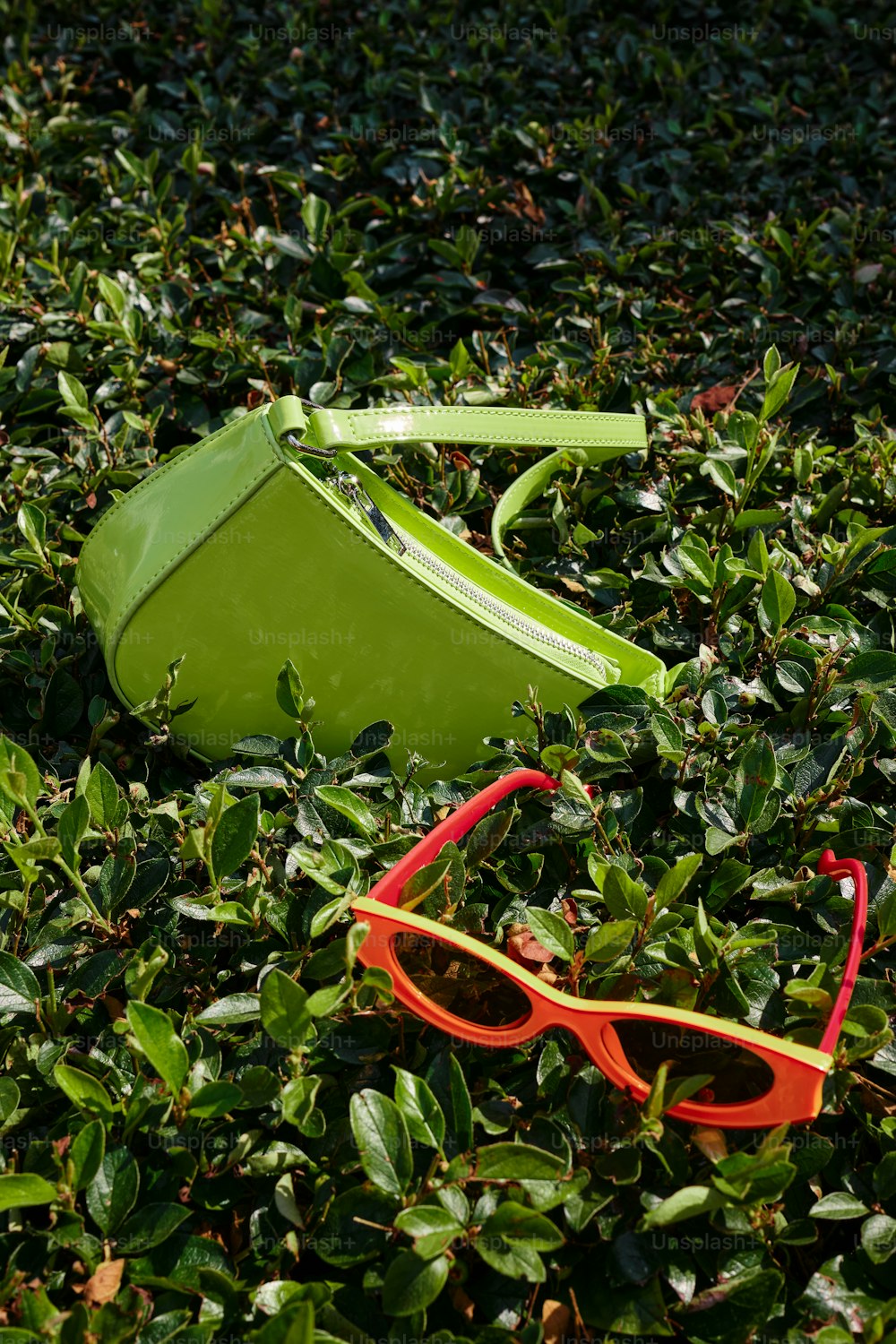 a pair of sunglasses and a green case laying in the grass