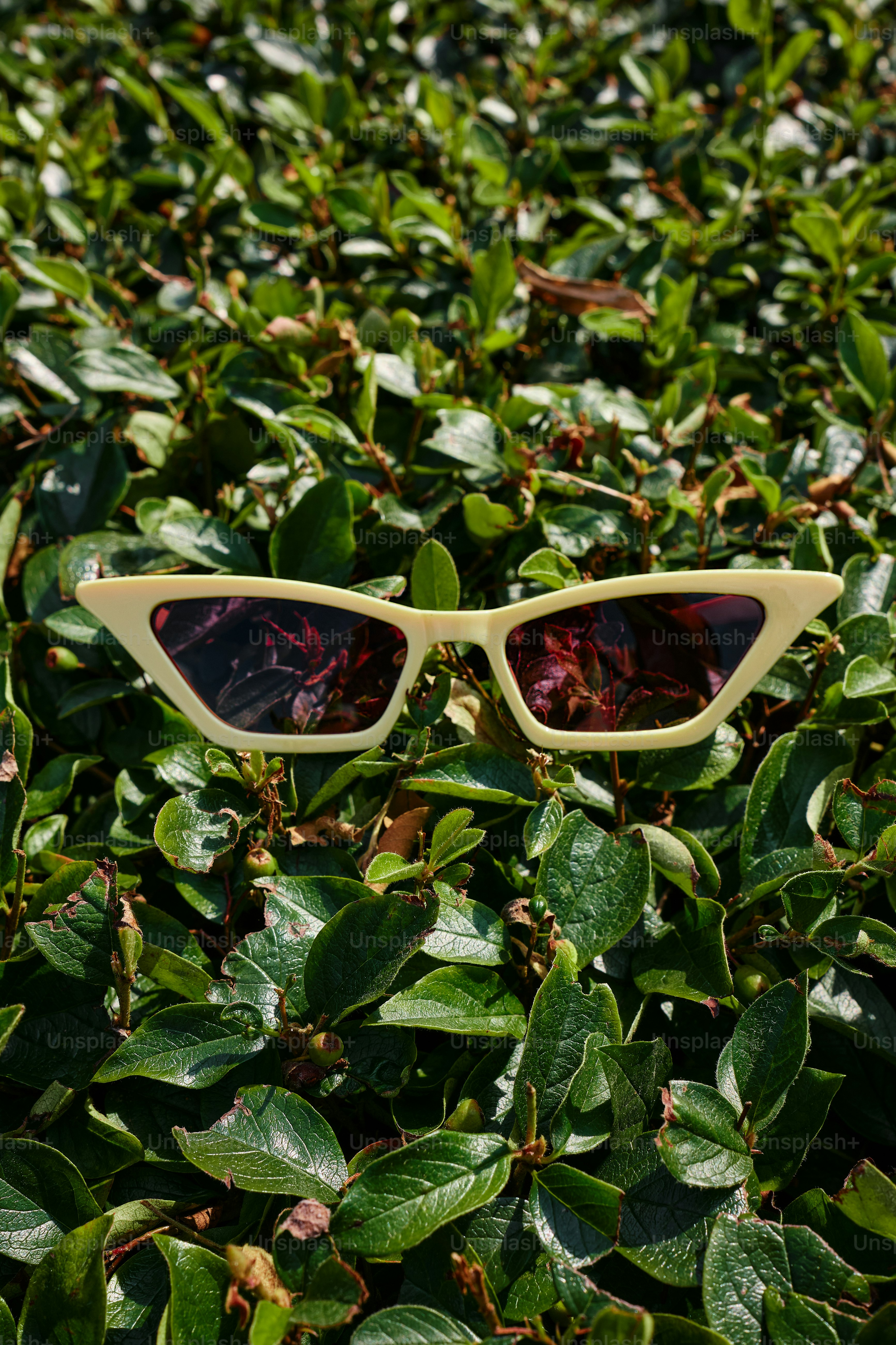 a pair of sunglasses sitting on top of a lush green field