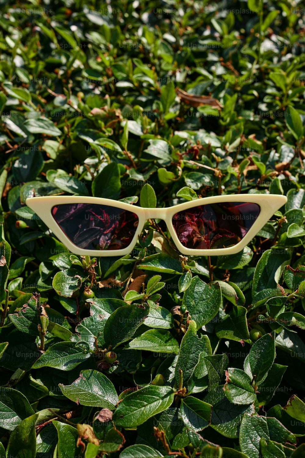a pair of sunglasses sitting on top of a lush green field