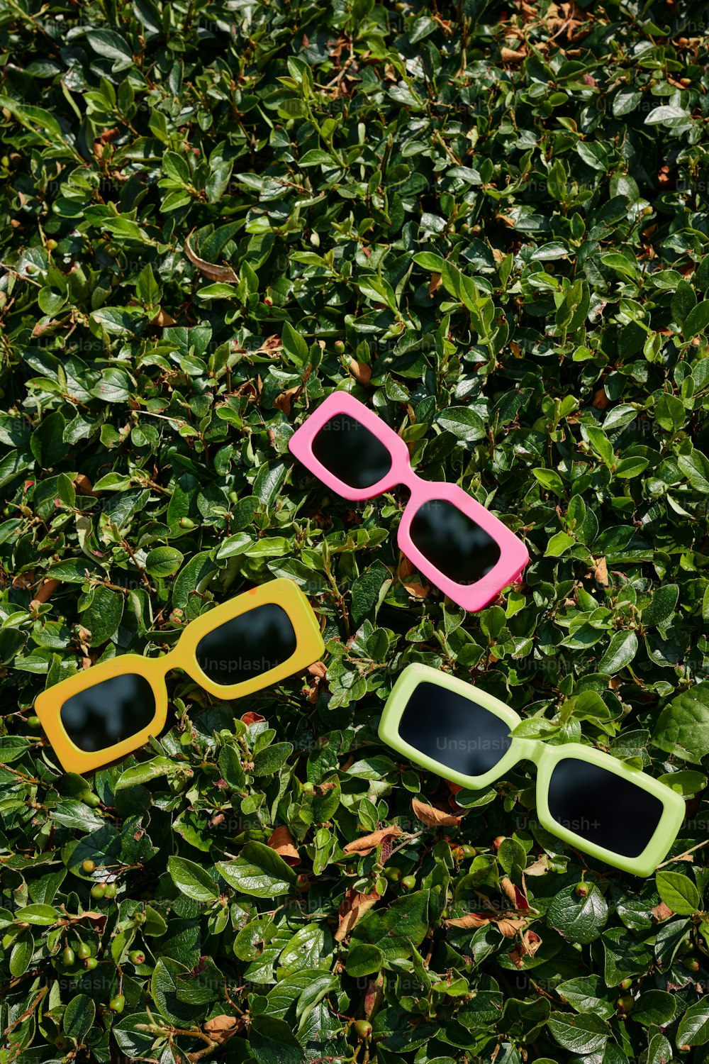 three pairs of sunglasses laying on top of a lush green field