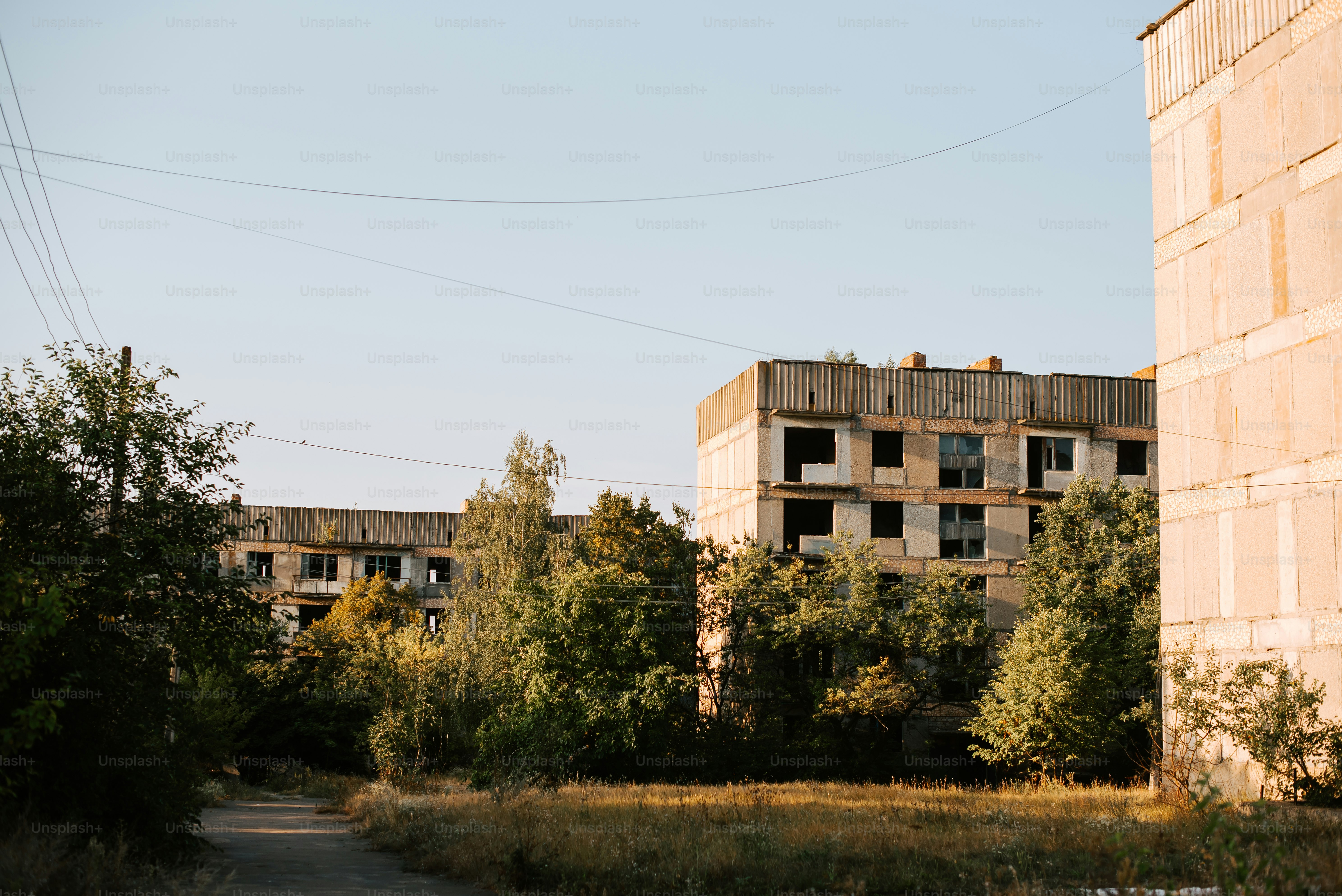 an abandoned building in the middle of a forest