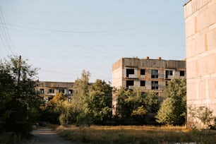 an abandoned building in the middle of a forest