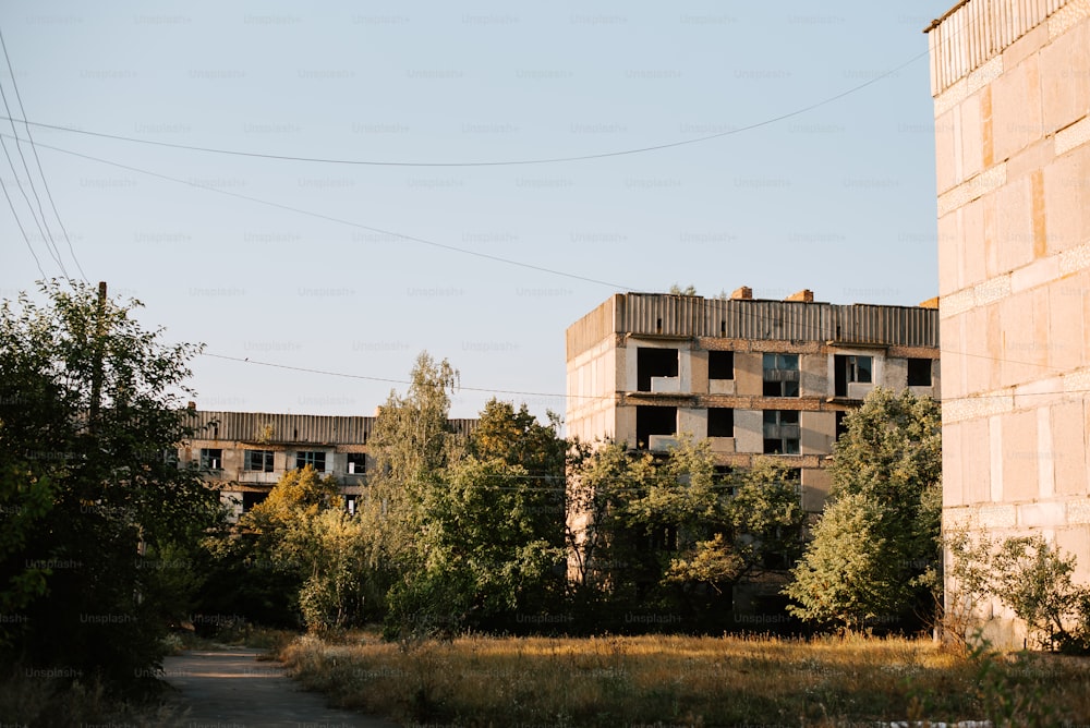 Un bâtiment abandonné au milieu d’une forêt