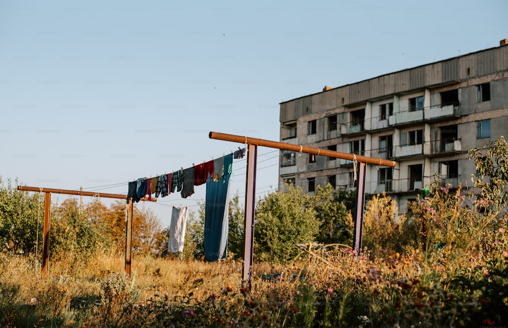 A woman hanging out her clothes on a clothes line photo – Cleaning day  Image on Unsplash