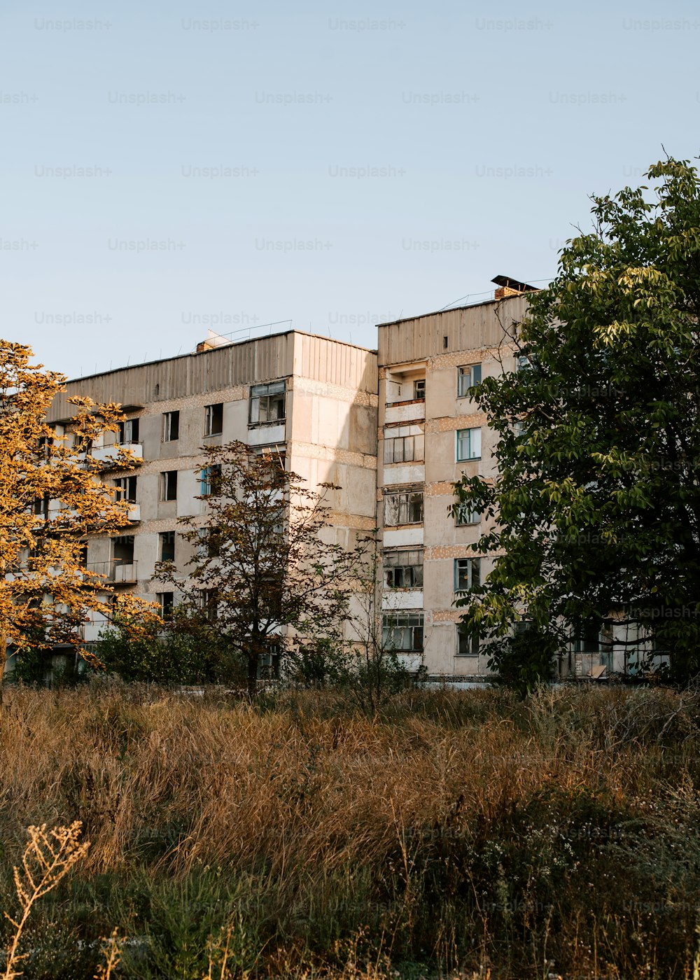 a tall building sitting next to a lush green forest