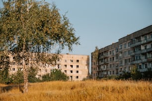 um edifício alto sentado ao lado de uma árvore em um campo