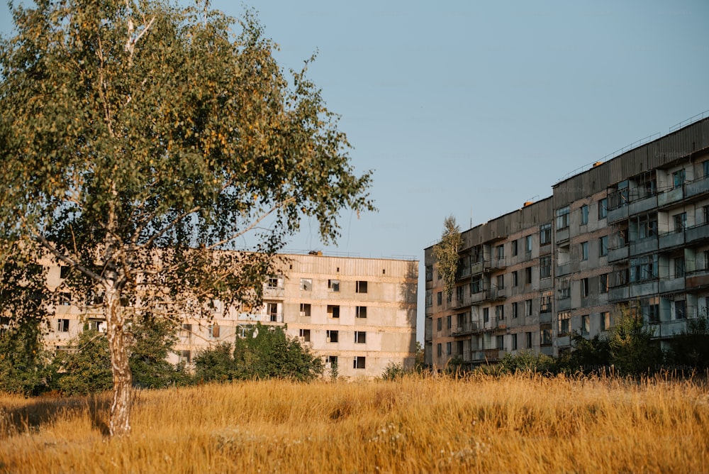 a tall building sitting next to a tree in a field