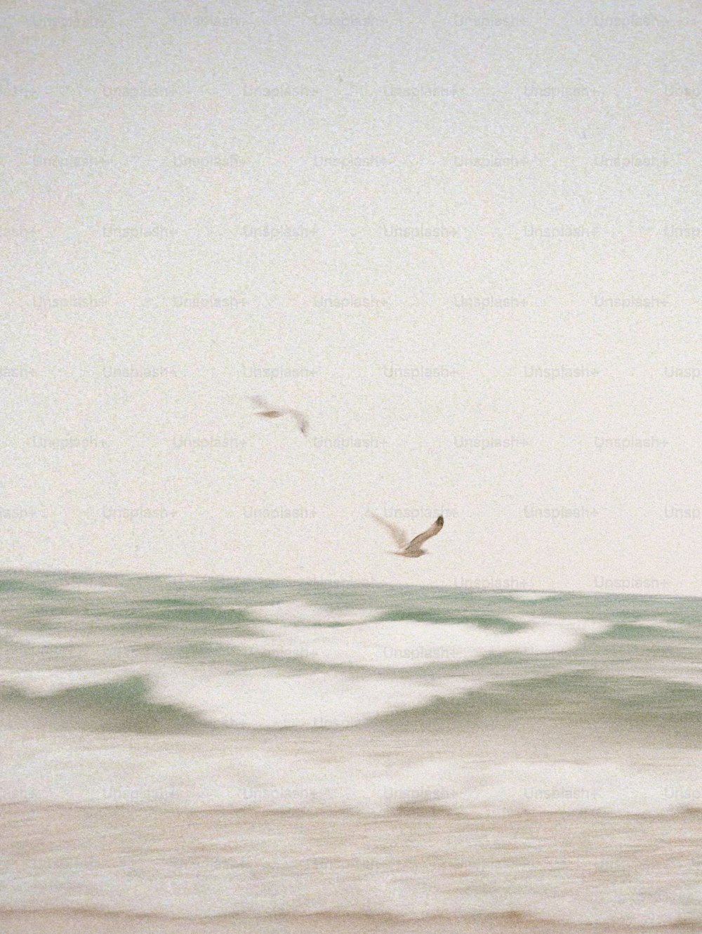 a couple of birds flying over a body of water