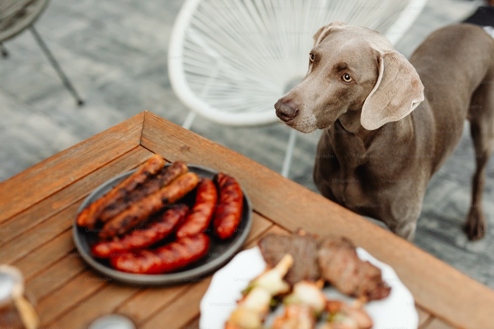 Un perro marrón parado junto a una mesa llena de comida