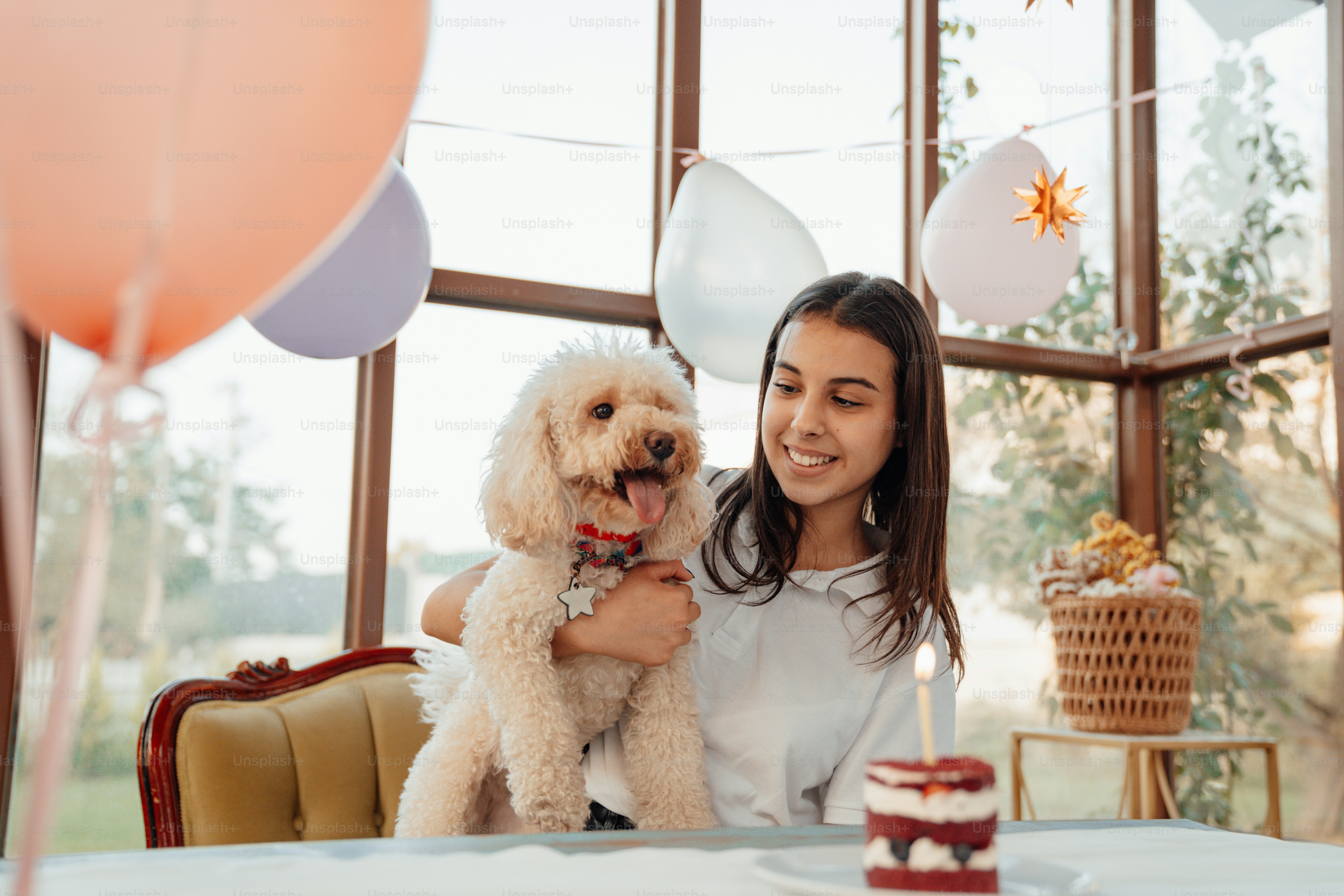a woman sitting at a table with a dog