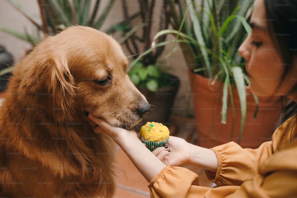 a woman feeding a cupcake to a dog