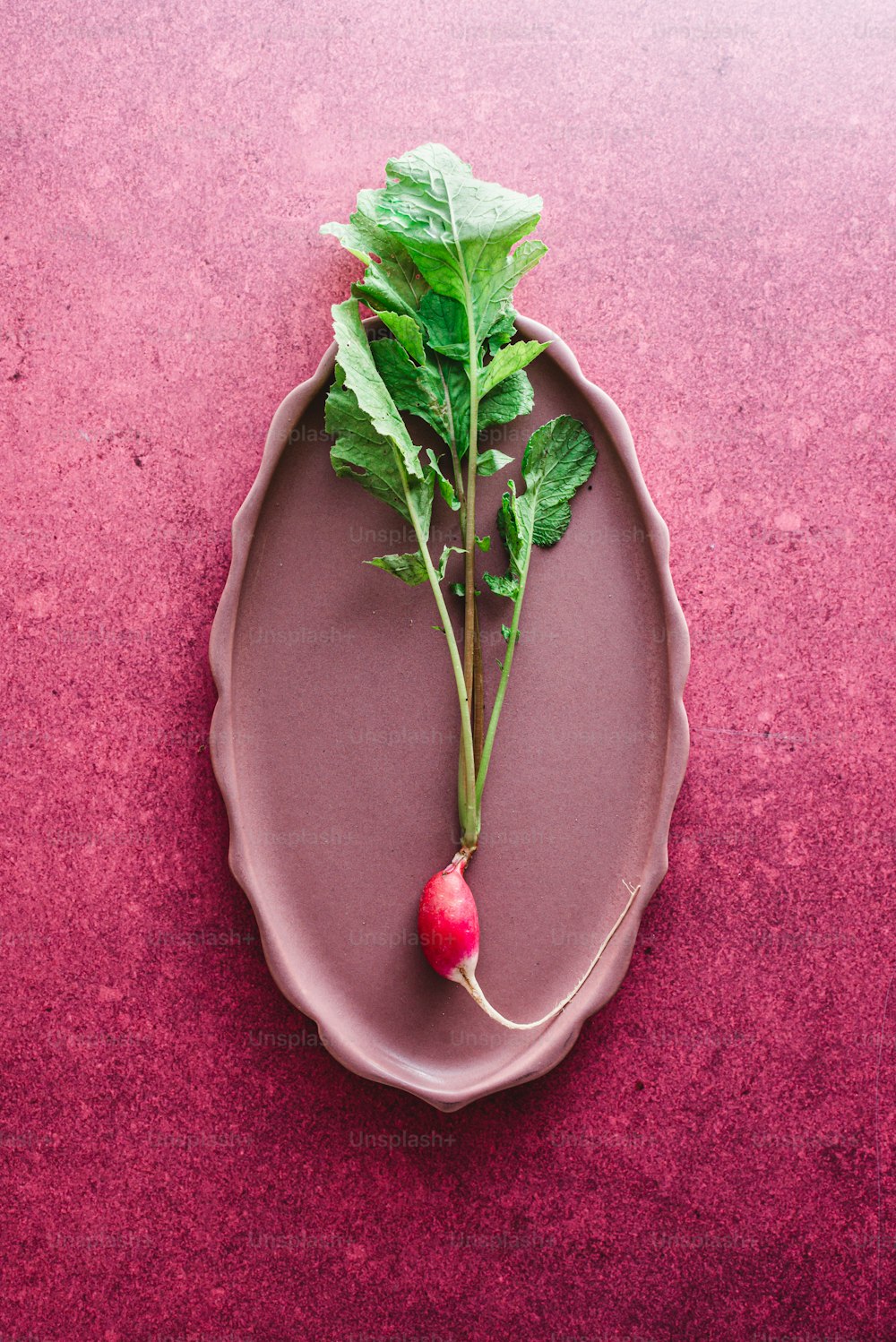 a radish on a plate on a pink surface