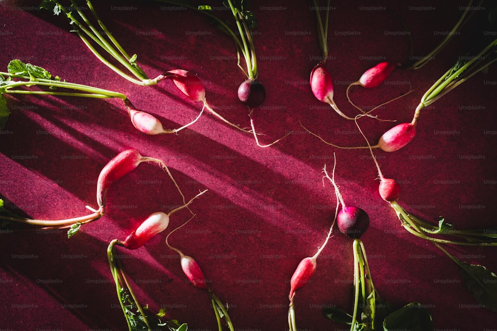 a bunch of radishes laying on a table