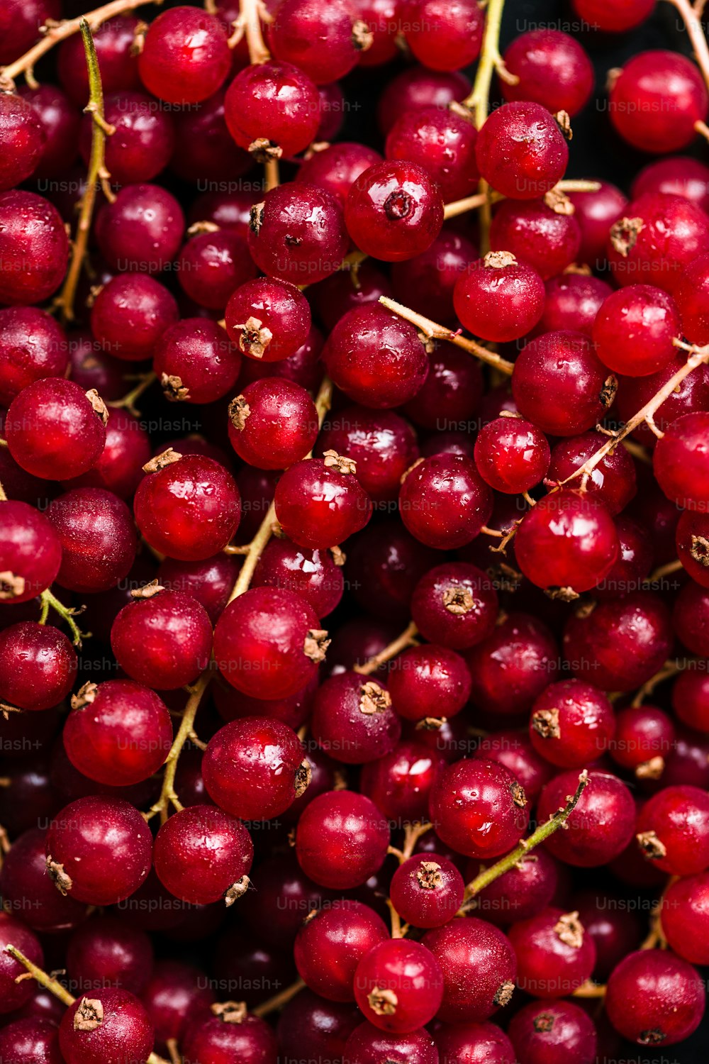 a close up of a bunch of red berries
