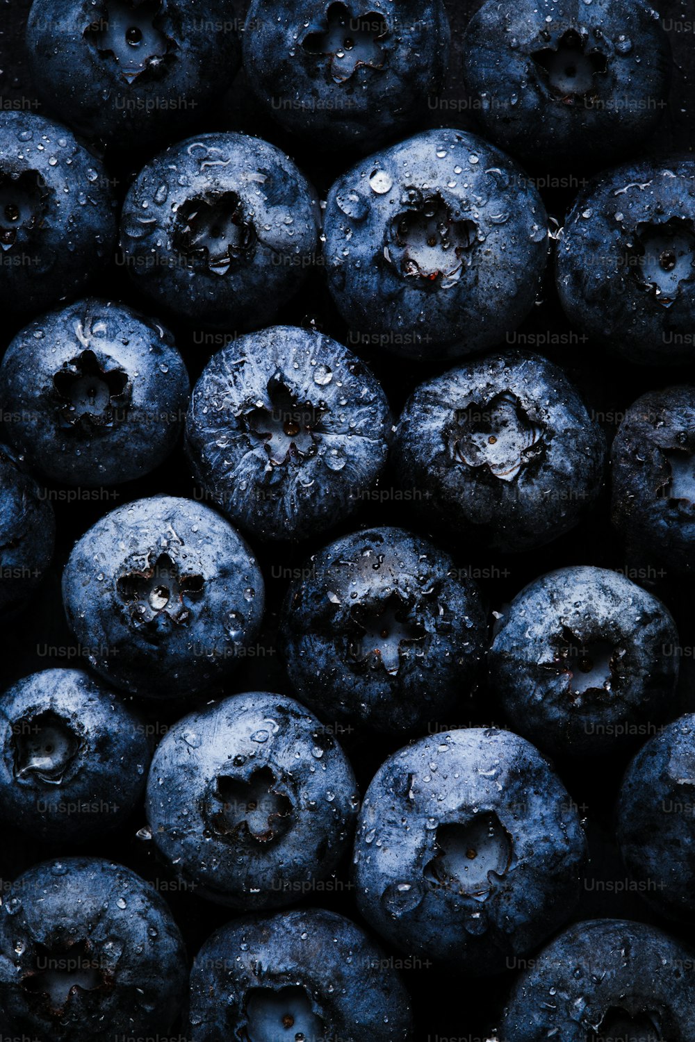 a close up of blueberries with water droplets on them