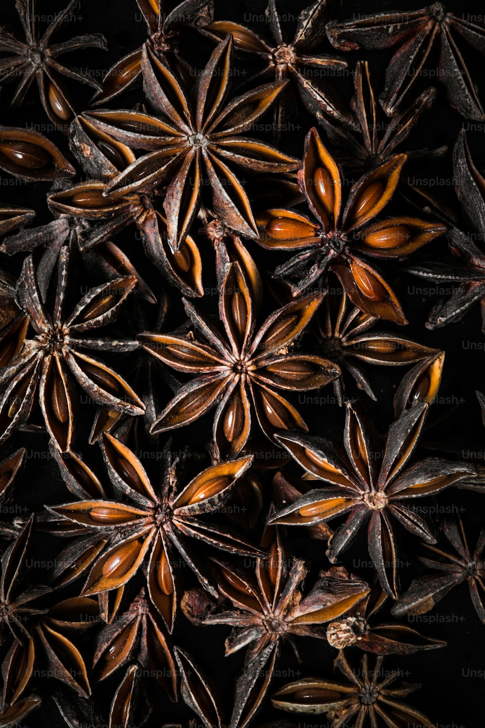 a bunch of star anise on a black background