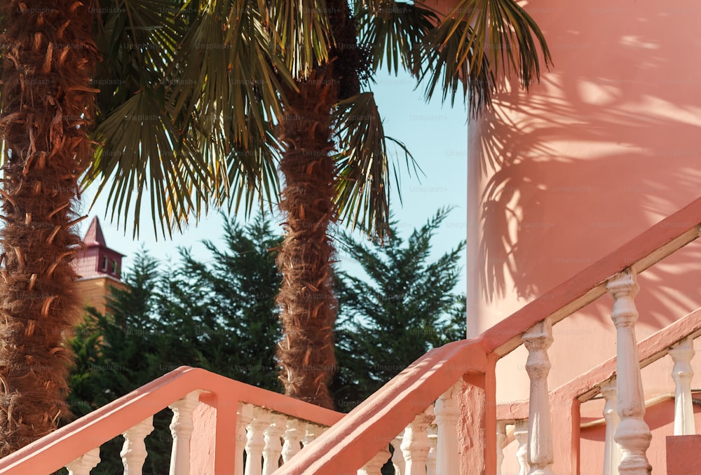 a palm tree next to a pink building