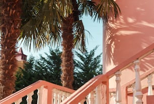 a palm tree next to a pink building
