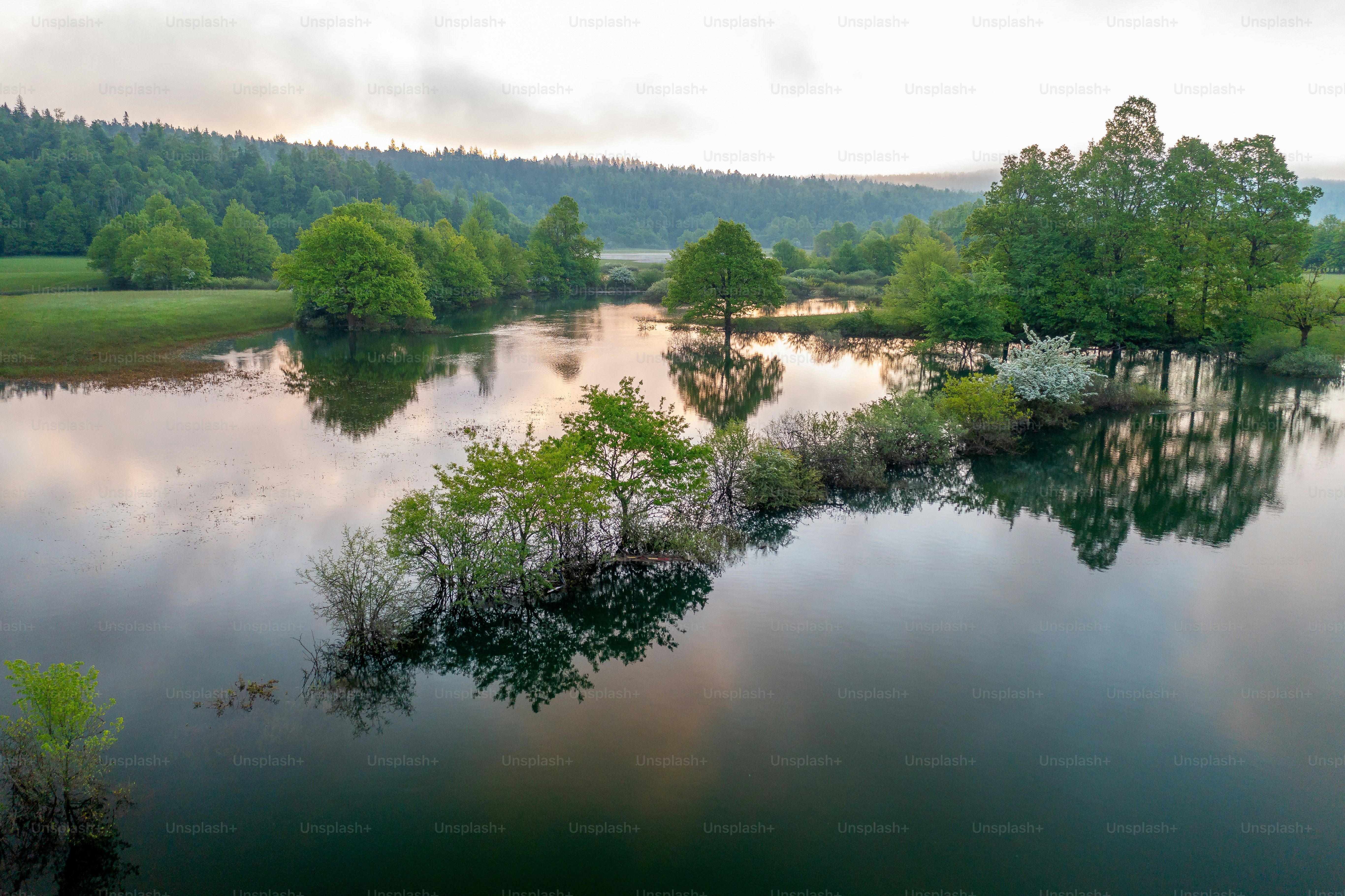 A body of water surrounded by lush green trees photo – Countryside ...