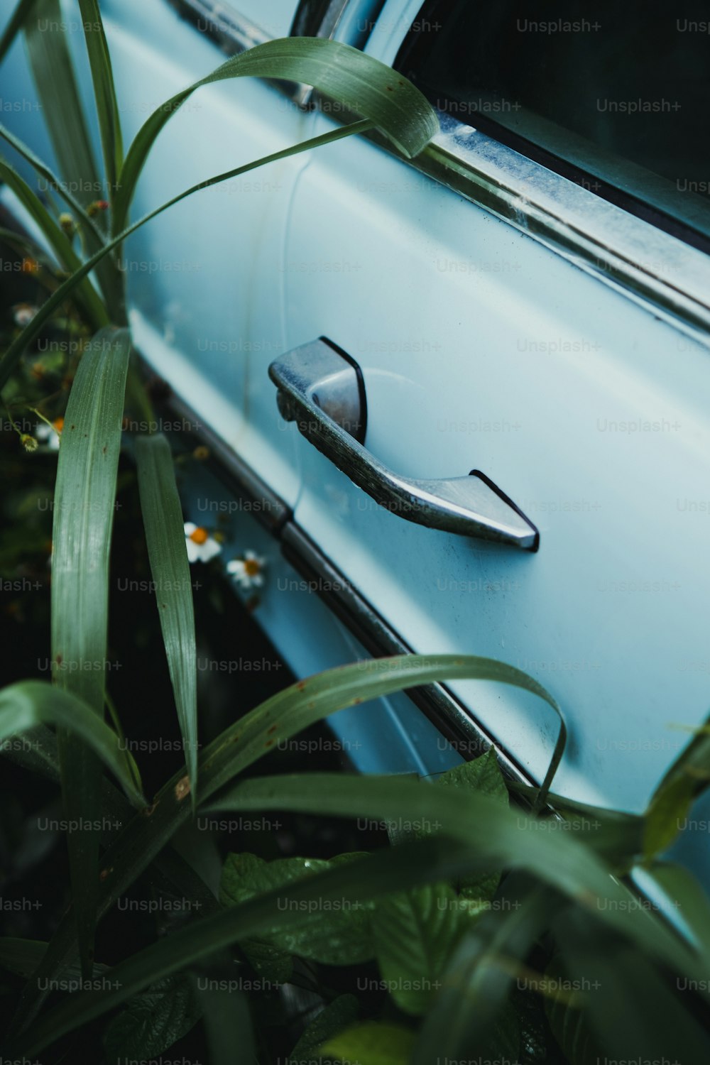 una manija de la puerta de un coche azul aparcado en un jardín
