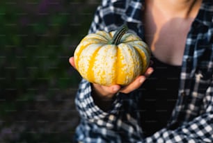 a person holding a yellow and white pumpkin