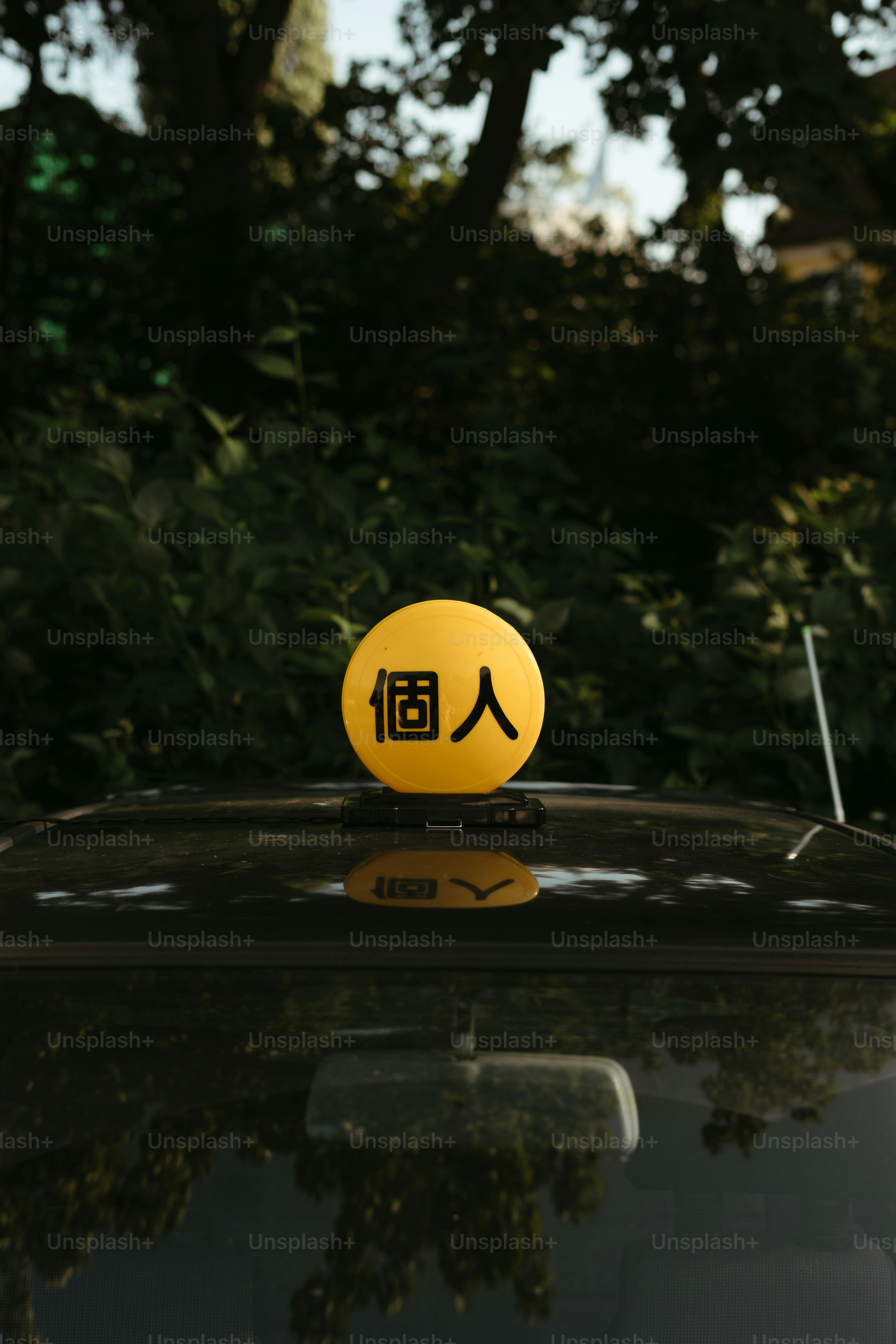 premium_photo-1693840251528-2e2b60b2ae12?ixid=M3wxMjA3fDB8MXxzZWFyY2h8NXx8JUUzJTgzJTg5JUUzJTgzJUE5JUUzJTgyJUE0JUUzJTgzJTkwJUUzJTgzJUJDJUU2JUIxJTgyJUU0JUJBJUJBJTIwJUU0JUJBJUFDJUU5JTgzJUJEfGVufDB8fHx8MTc0Mjk4MDY3Nnww\u0026ixlib=rb-4.0.3