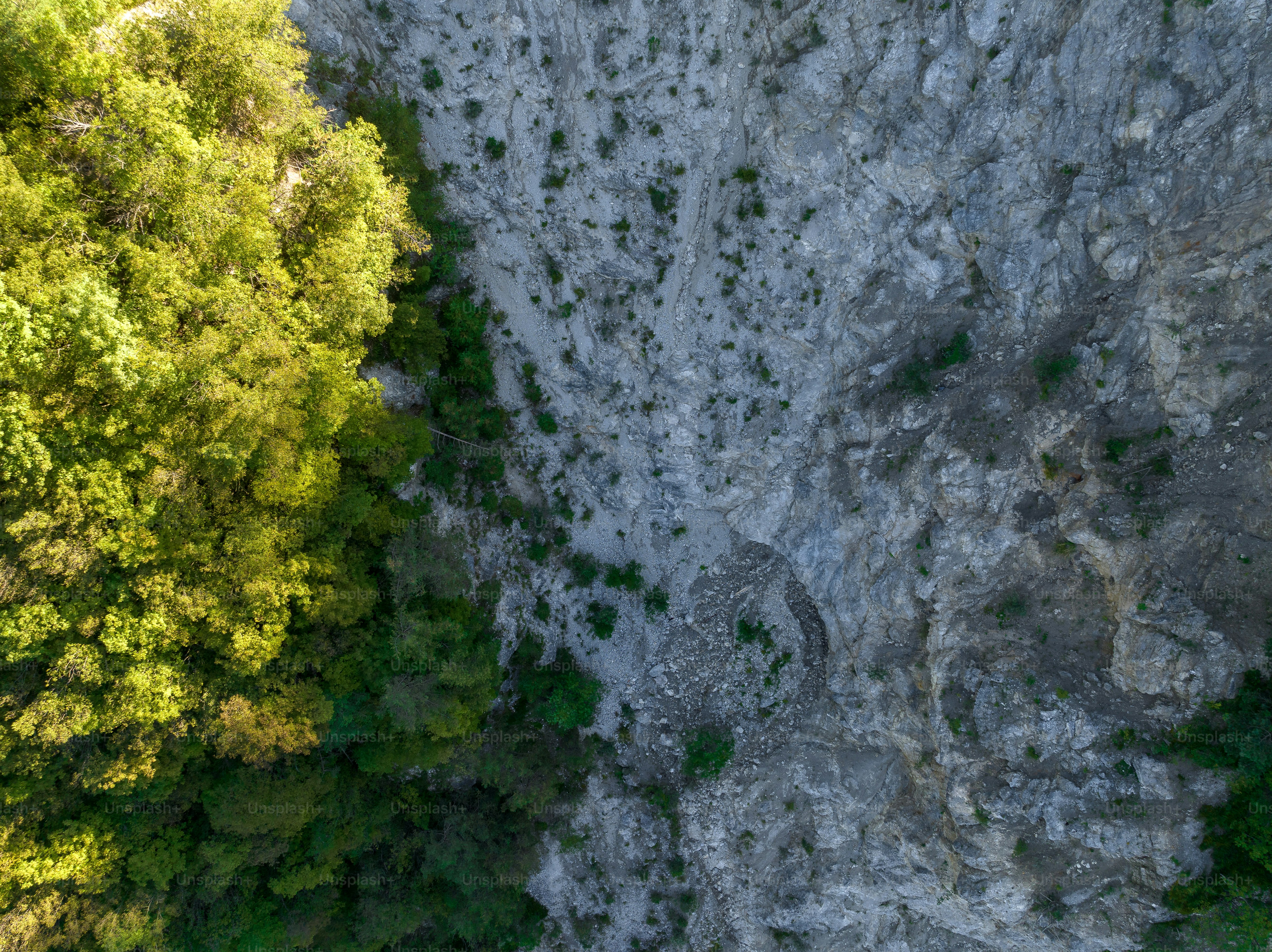 une vue plongeante des arbres et des rochers