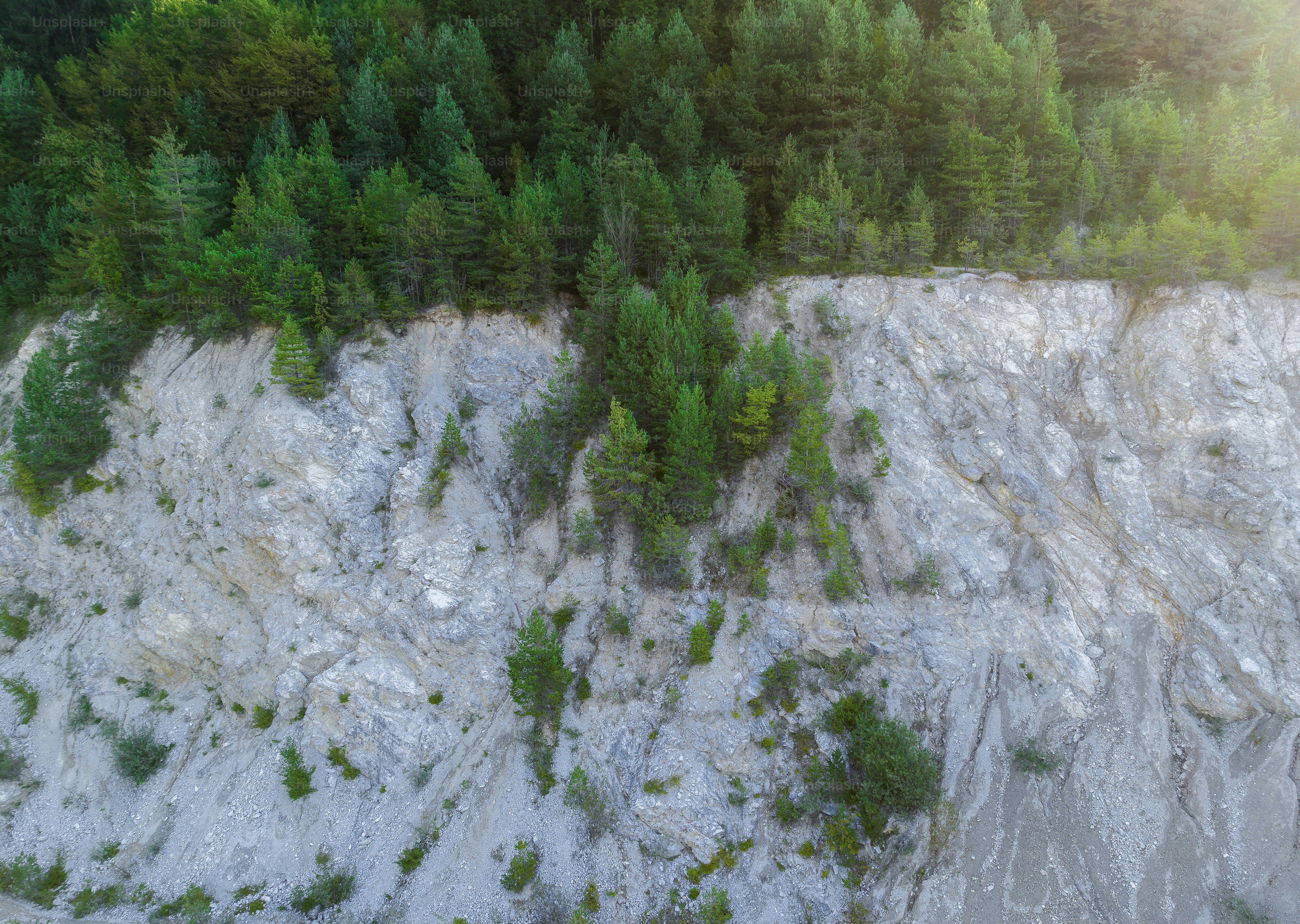une vue aérienne d’une forêt et d’une falaise