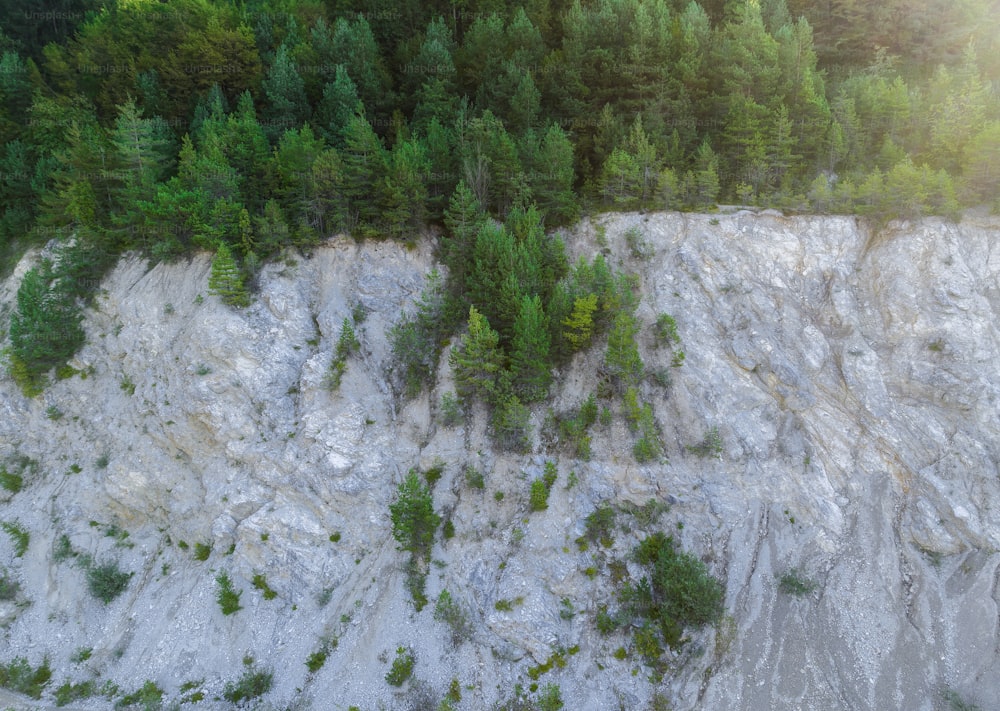 an aerial view of a forest and a cliff