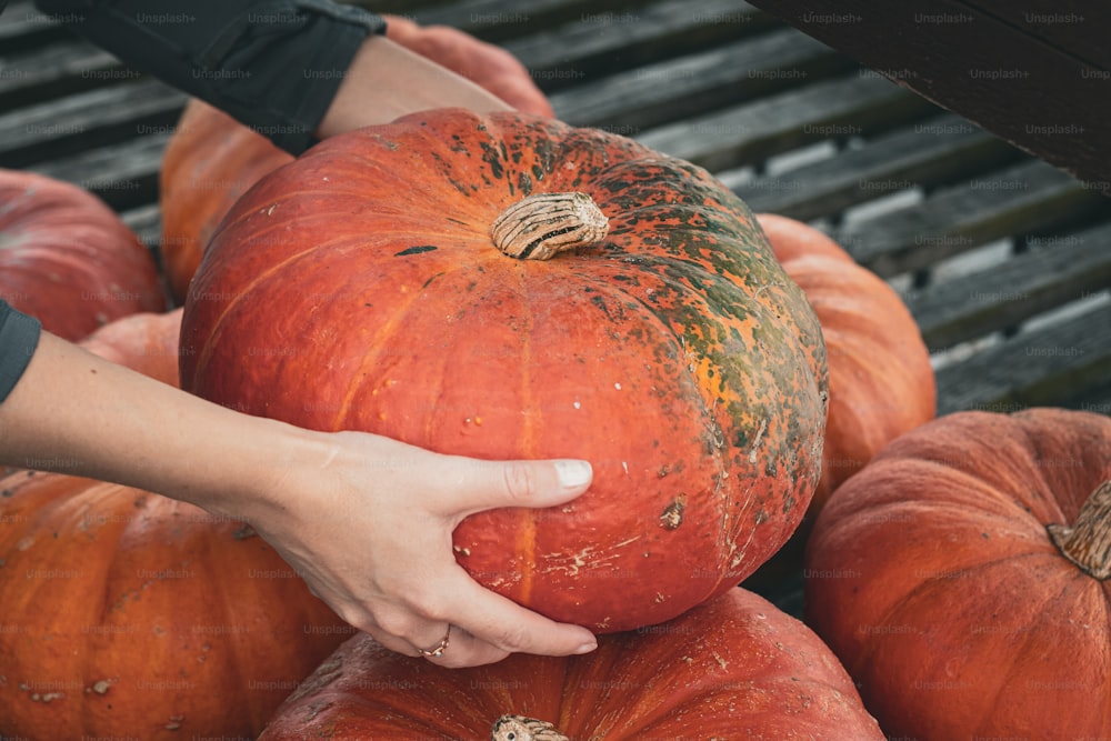 a person holding a large pumpkin in front of other pumpkins