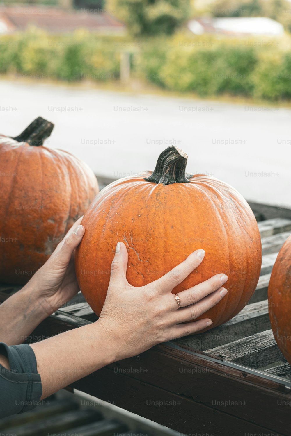 a person holding a large pumpkin in their hand