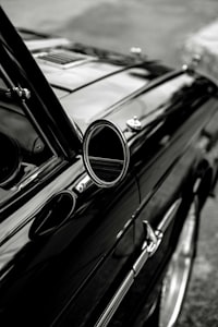 Mustang Side Profile