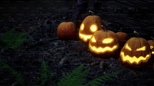 a group of carved pumpkins sitting on top of a forest floor