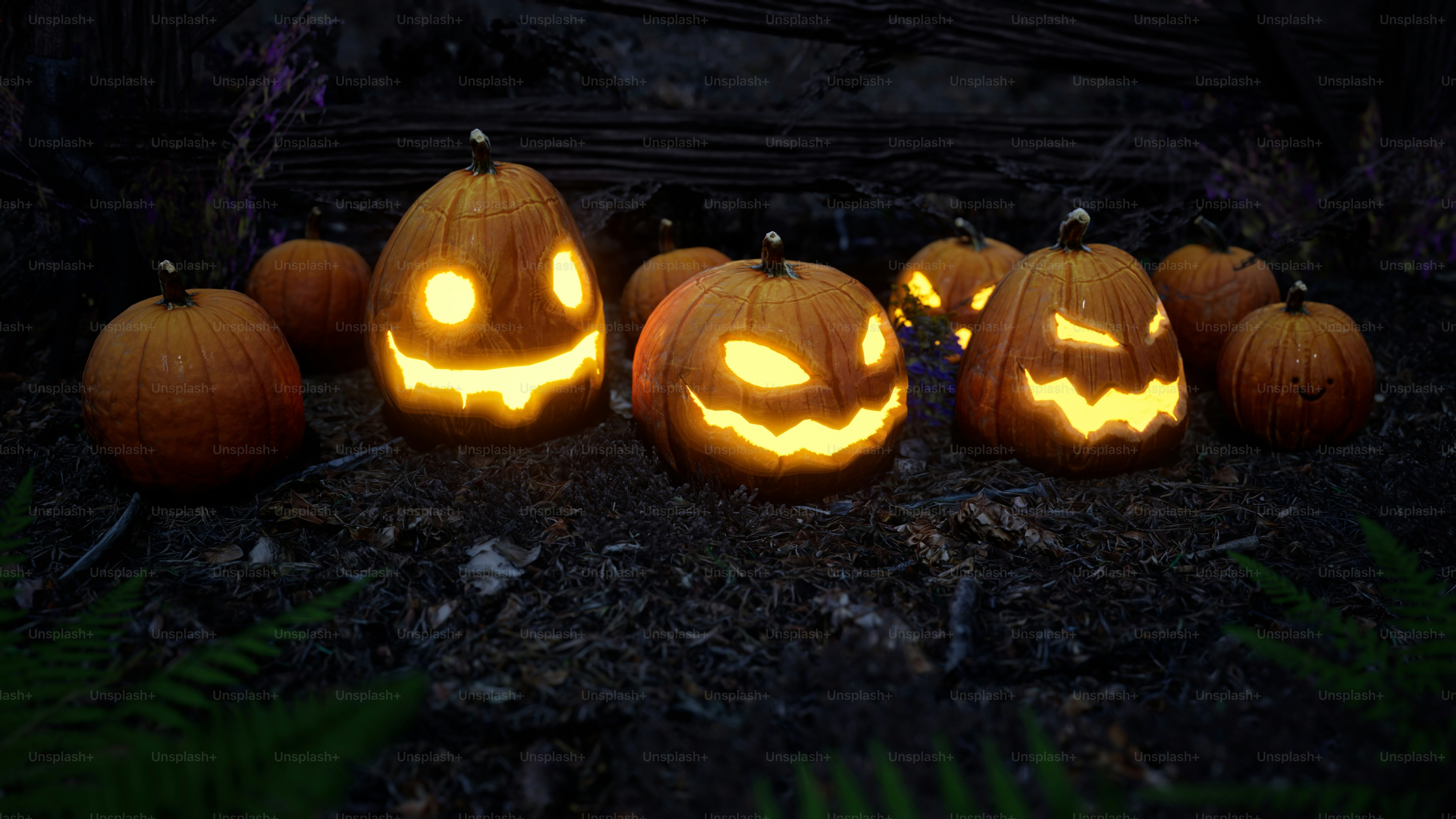 eine Gruppe geschnitzter Kürbisse, die auf einem Waldboden sitzen