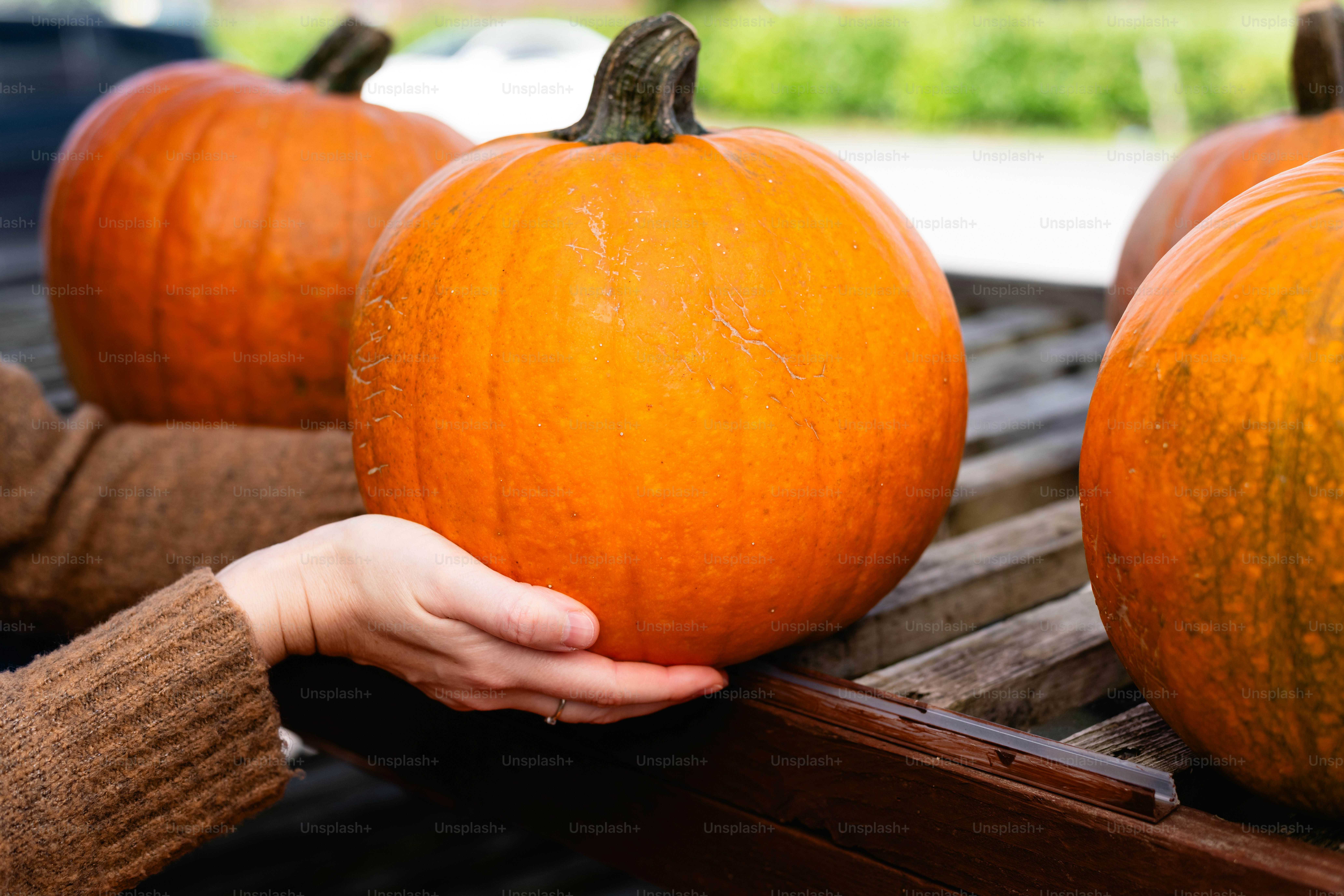 a person holding a large pumpkin in their hands