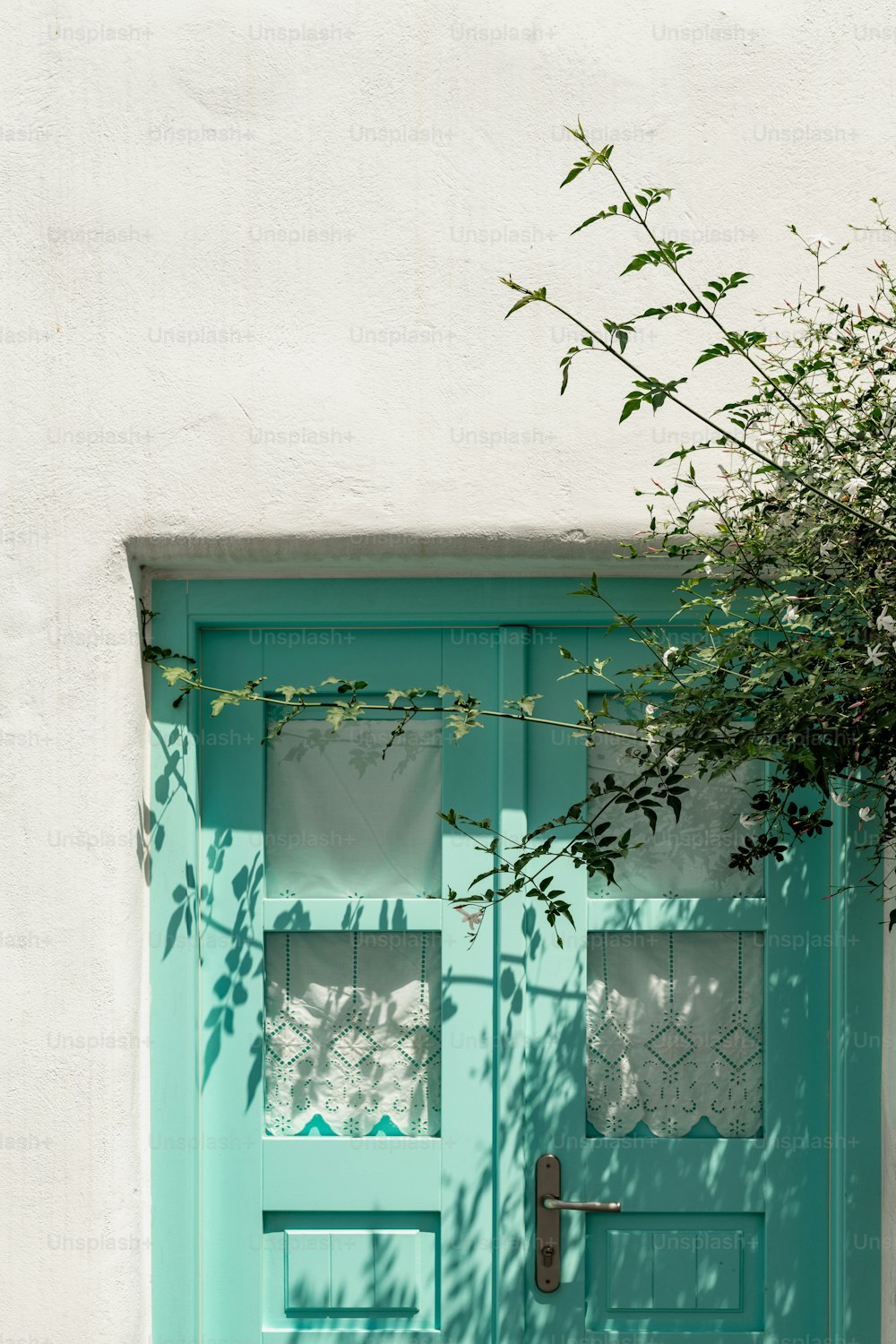 a green door with a plant in front of it