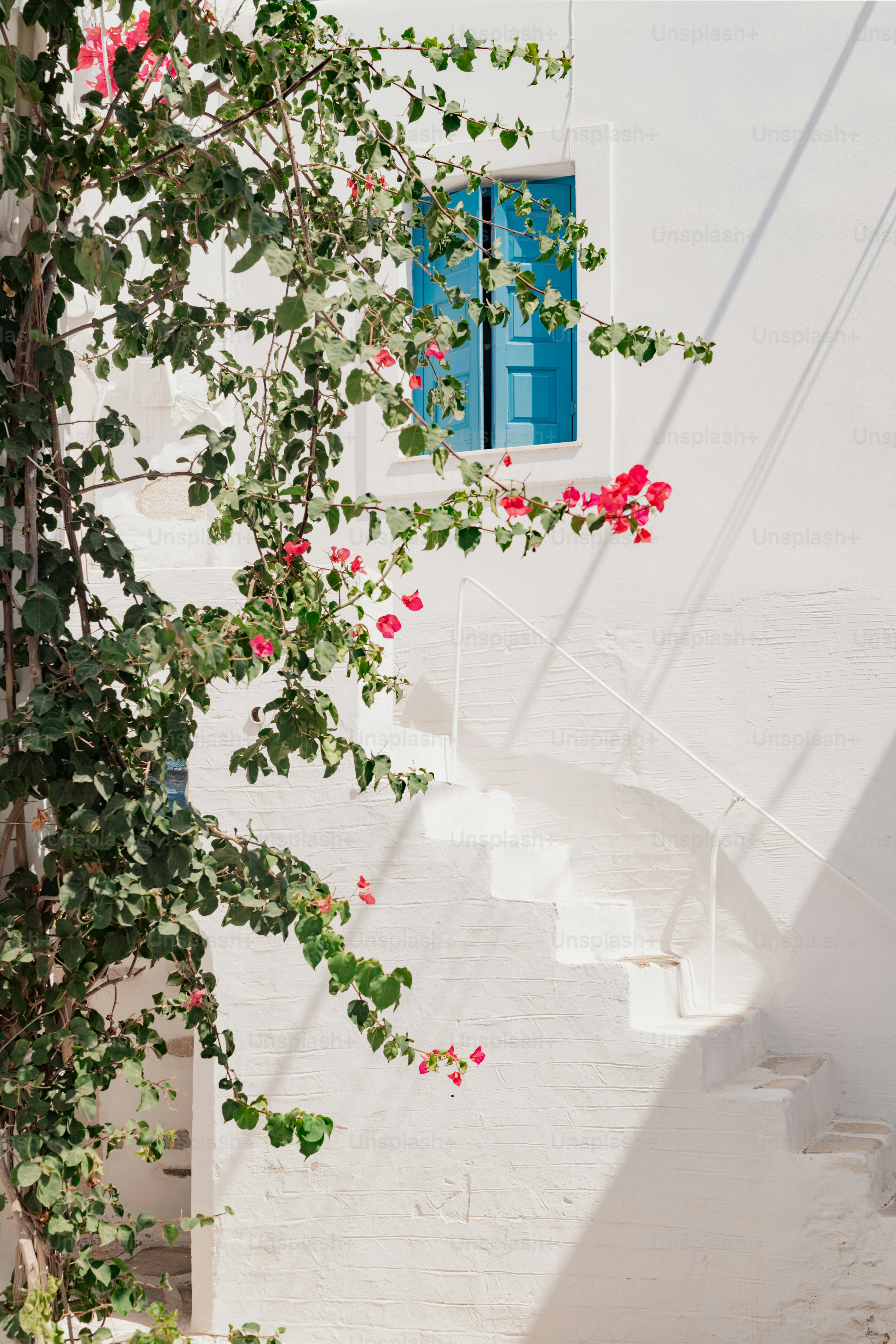 a white building with a blue window and a plant