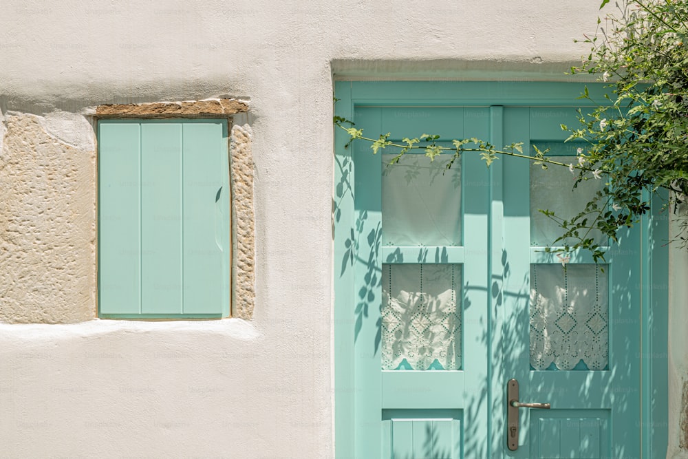 a blue door with a window and a plant