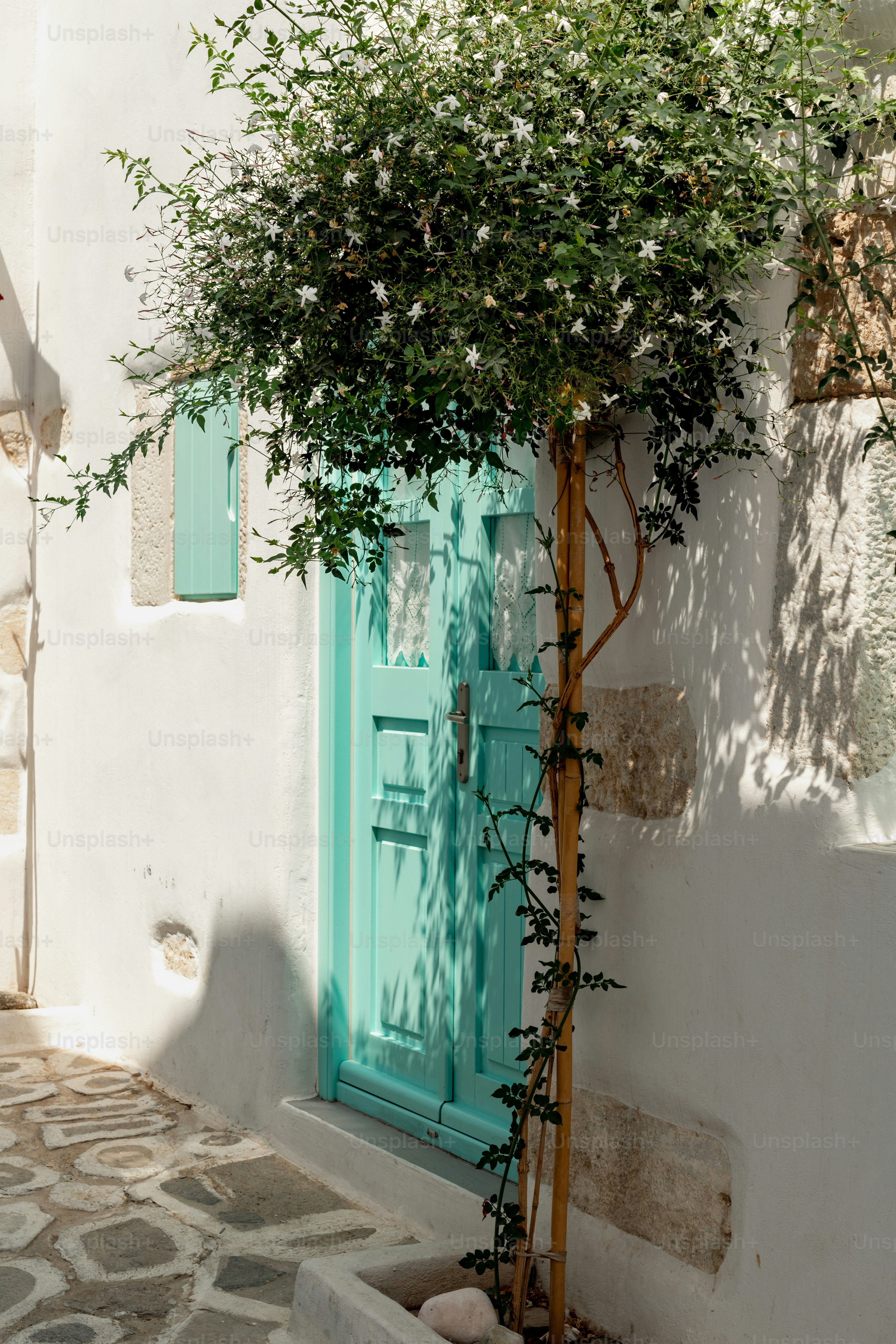 a blue door and a tree in front of a white building