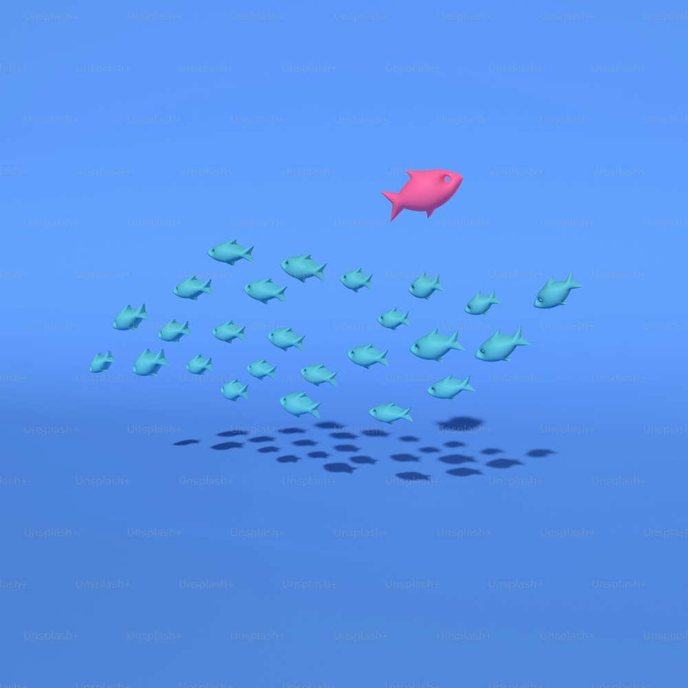 a group of fish swimming in the ocean